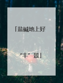 盐碱地上好“丰”景