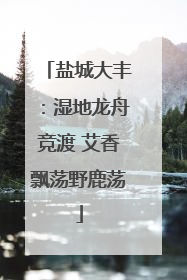 盐城大丰：湿地龙舟竞渡 艾香飘荡野鹿荡