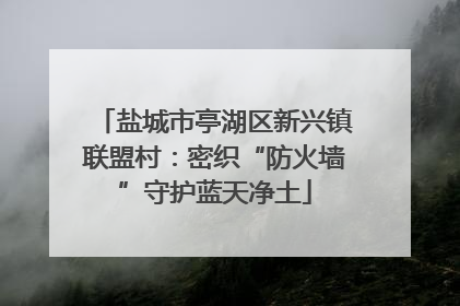盐城市亭湖区新兴镇联盟村：密织“防火墙”守护蓝天净土