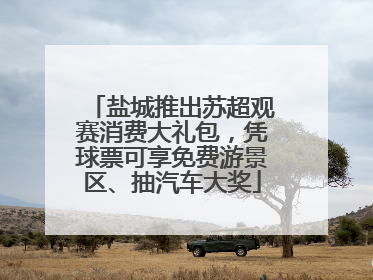 盐城推出苏超观赛消费大礼包，凭球票可享免费游景区、抽汽车大奖
