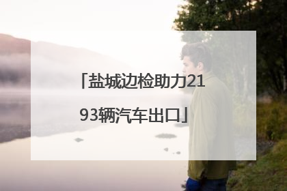 盐城边检助力2193辆汽车出口