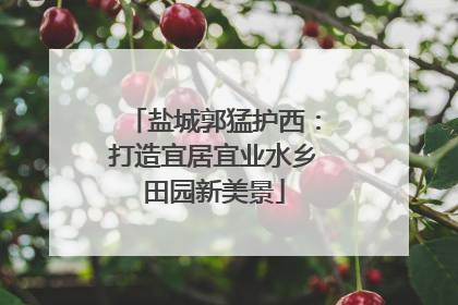 盐城郭猛护西：打造宜居宜业水乡田园新美景