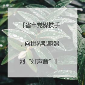 省市党媒携手，向世界唱响漯河“好声音”