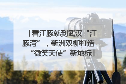 看江豚就到武汉“江豚湾”，新洲双柳打造“微笑天使”新地标