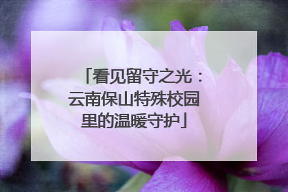 看见留守之光：云南保山特殊校园里的温暖守护