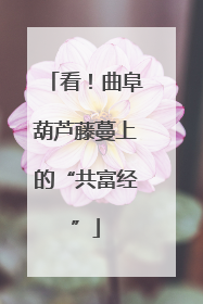 看！曲阜葫芦藤蔓上的“共富经”
