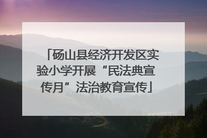 砀山县经济开发区实验小学开展“民法典宣传月”法治教育宣传
