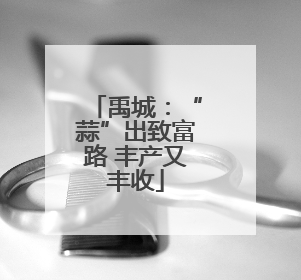 禹城：“蒜”出致富路 丰产又丰收