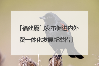福建厦门发布促进内外贸一体化发展新举措