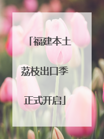 福建本土荔枝出口季正式开启