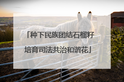种下民族团结石榴籽 培育司法共治和谐花