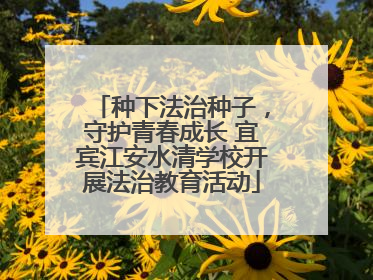 种下法治种子，守护青春成长 宜宾江安水清学校开展法治教育活动