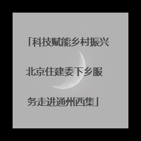 科技赋能乡村振兴 北京住建委下乡服务走进通州西集
