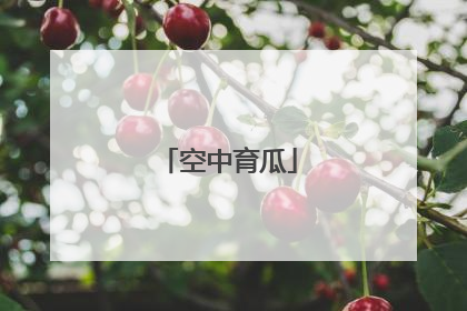 空中育瓜