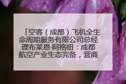 空客（成都）飞机全生命周期服务有限公司总经理布莱恩·阿格纽：成都航空产业生态完备，营商环境优势显著