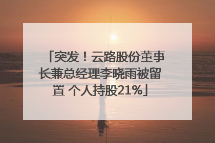 突发！云路股份董事长兼总经理李晓雨被留置 个人持股21%