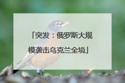 突发：俄罗斯大规模袭击乌克兰全境