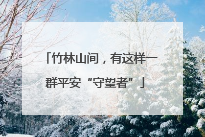 竹林山间，有这样一群平安“守望者”