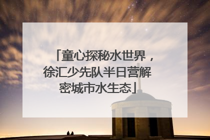 童心探秘水世界，徐汇少先队半日营解密城市水生态