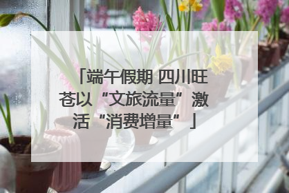 端午假期 四川旺苍以“文旅流量”激活“消费增量”