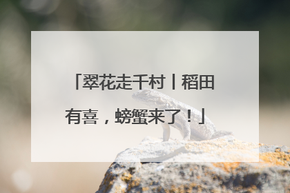 翠花走千村丨稻田有喜，螃蟹来了！