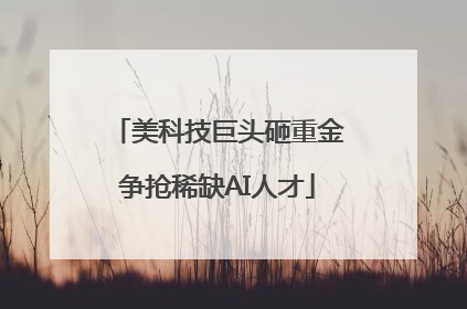 美科技巨头砸重金争抢稀缺AI人才