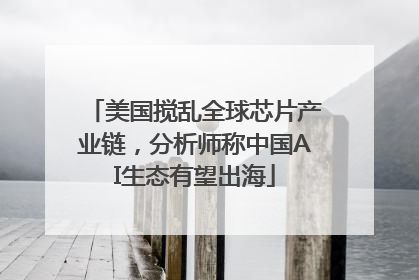 美国搅乱全球芯片产业链，分析师称中国AI生态有望出海