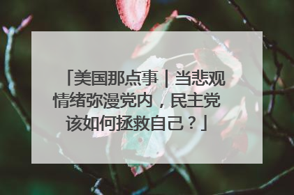 美国那点事｜当悲观情绪弥漫党内，民主党该如何拯救自己？