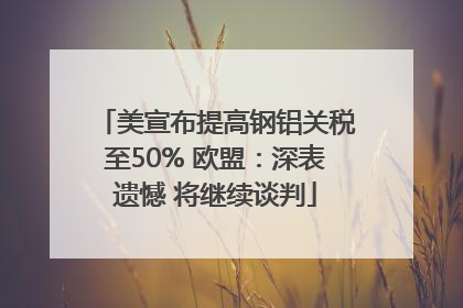 美宣布提高钢铝关税至50% 欧盟：深表遗憾 将继续谈判