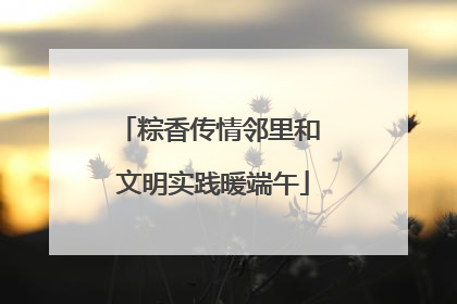 粽香传情邻里和 文明实践暖端午