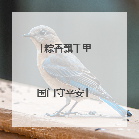 粽香飘千里 国门守平安