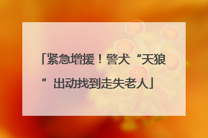 紧急增援！警犬“天狼”出动找到走失老人