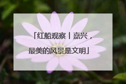 红船观察丨嘉兴，最美的风景是文明