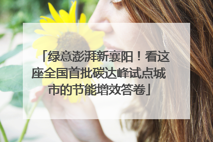 绿意澎湃新襄阳！看这座全国首批碳达峰试点城市的节能增效答卷