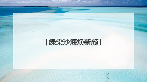 绿染沙海焕新颜