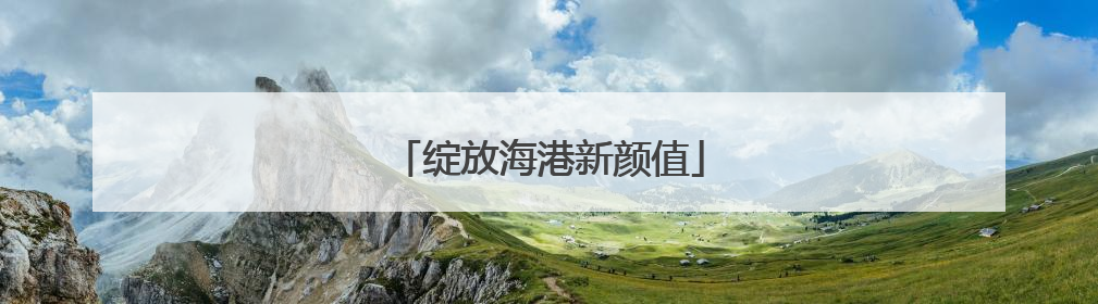 绽放海港新颜值