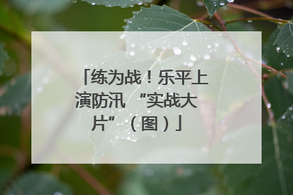 练为战！乐平上演防汛 “实战大片”（图）