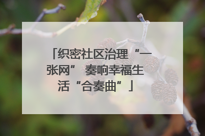 织密社区治理“一张网” 奏响幸福生活“合奏曲”