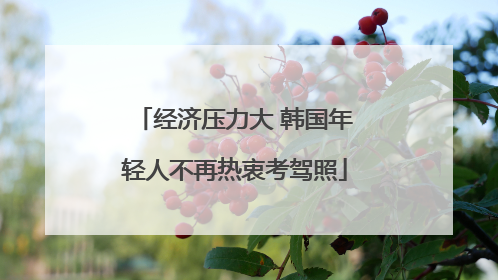 经济压力大 韩国年轻人不再热衷考驾照