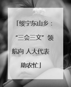 绥宁东山乡：“三会三文”领航向 人大代表助农忙