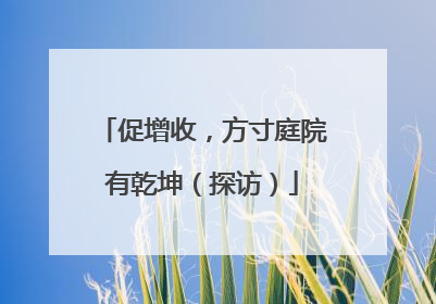 促增收，方寸庭院有乾坤（探访）
