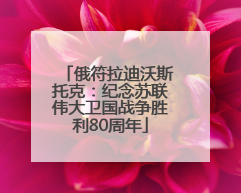 俄符拉迪沃斯托克：纪念苏联伟大卫国战争胜利80周年