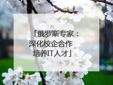 俄罗斯专家：深化校企合作 培养IT人才