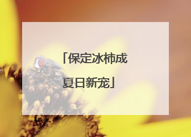 保定冰柿成夏日新宠