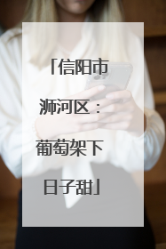 信阳市浉河区：葡萄架下日子甜