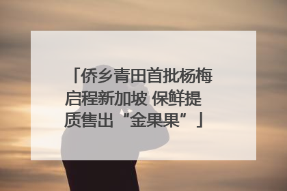 侨乡青田首批杨梅启程新加坡 保鲜提质售出“金果果”