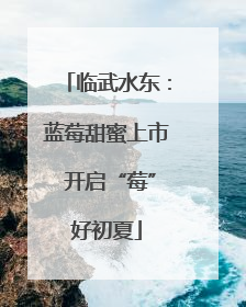 临武水东：蓝莓甜蜜上市 开启“莓”好初夏