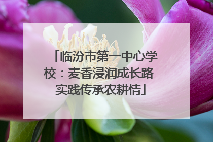 临汾市第一中心学校：麦香浸润成长路 实践传承农耕情
