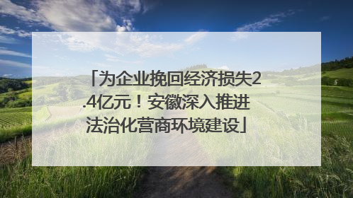 为企业挽回经济损失2.4亿元！安徽深入推进法治化营商环境建设