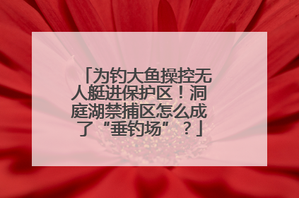 为钓大鱼操控无人艇进保护区！洞庭湖禁捕区怎么成了“垂钓场”？